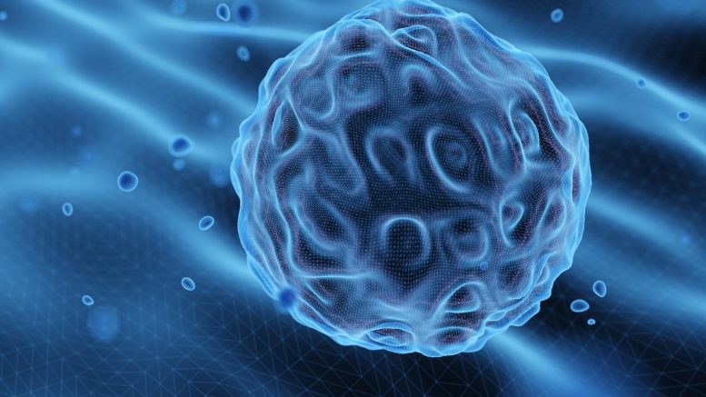 biology-news-scitechdaily