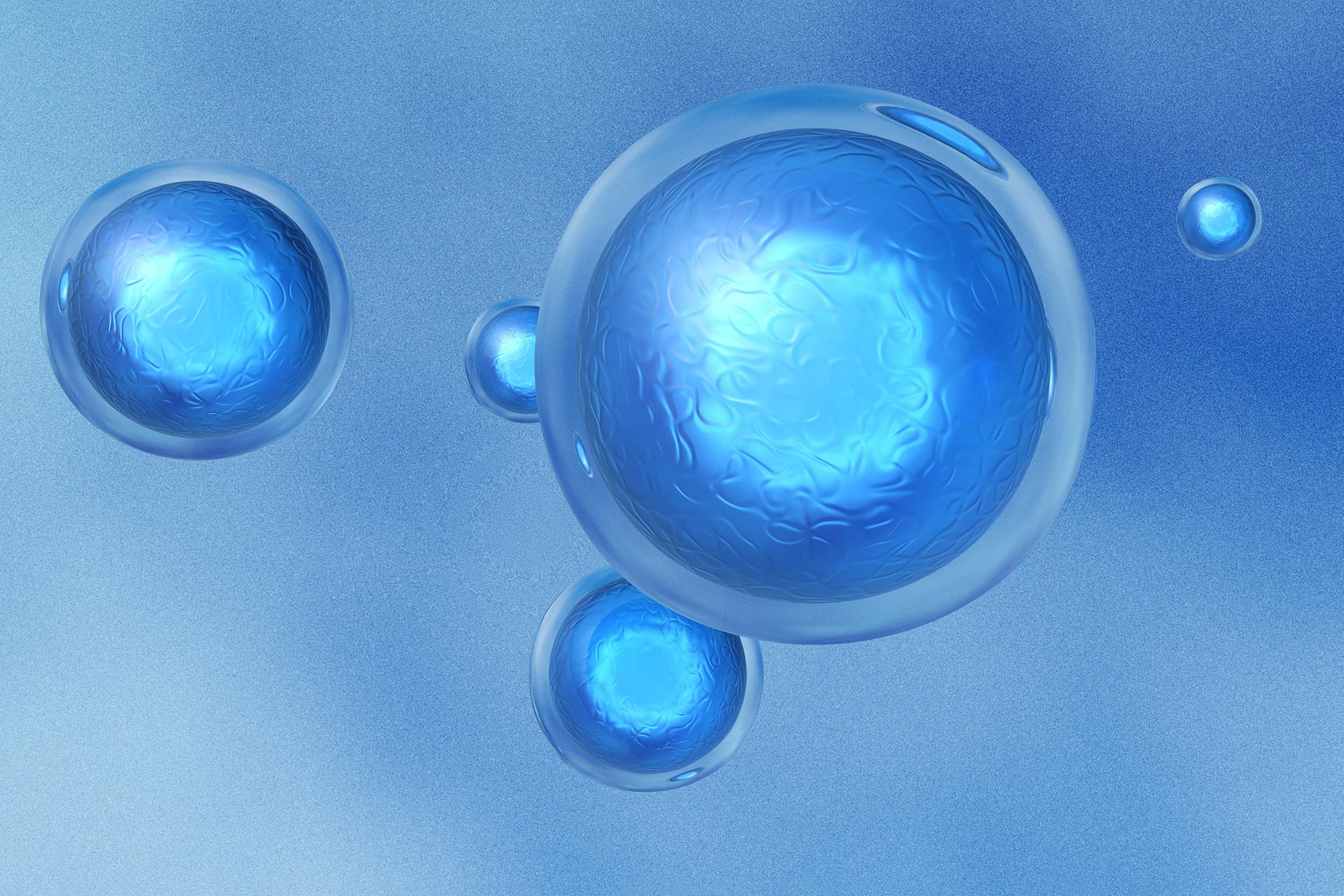 Embryonic Stem Cells