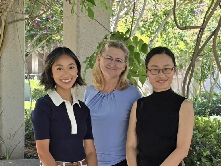 Emily Tom, Dorota Skowronska-Krawczyk, and Fangyuan Gao