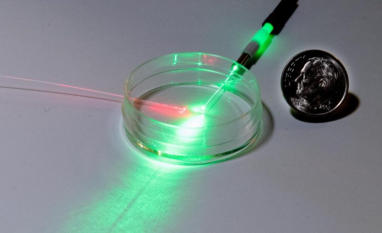 Empty Petri Dish With Optical Fibers