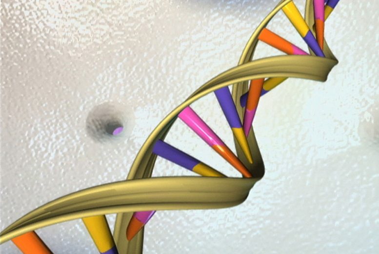 Engineers Control Knots That Form in DNA Molecules