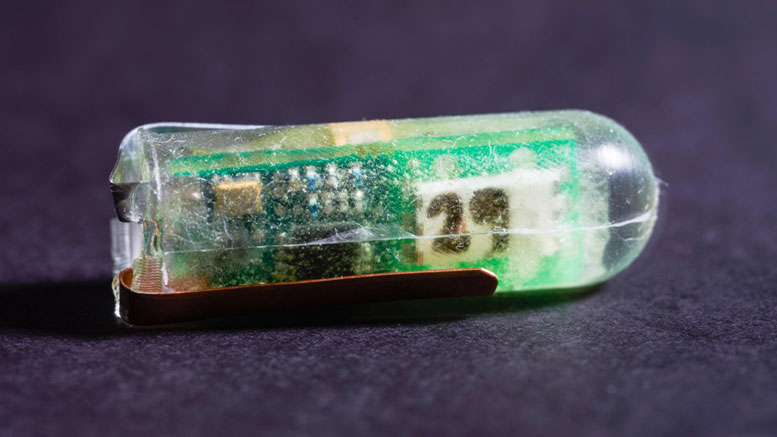 Engineers Harness Stomach Acid to Power Tiny Sensors