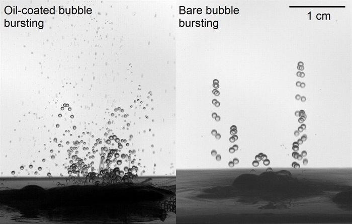 Enhanced Singular Jet Formation in Oil Coated Bubble Bursting