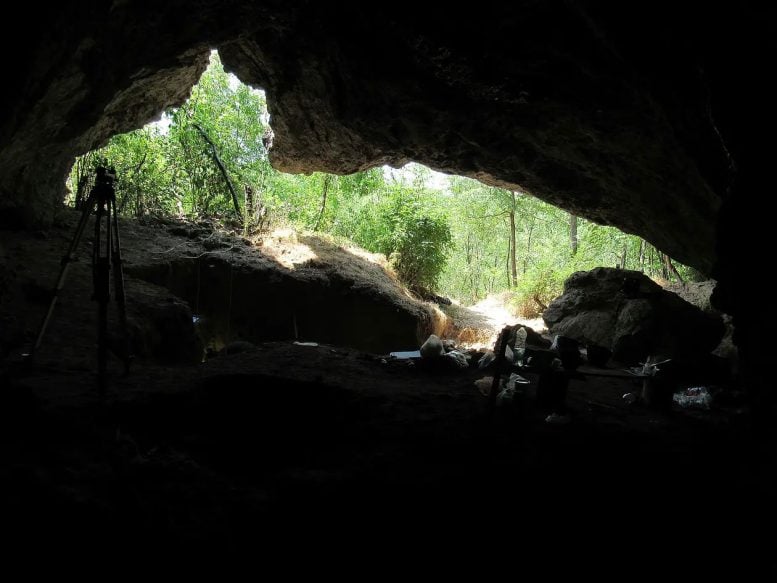 Entrance to Pešturina Cave in Serbia