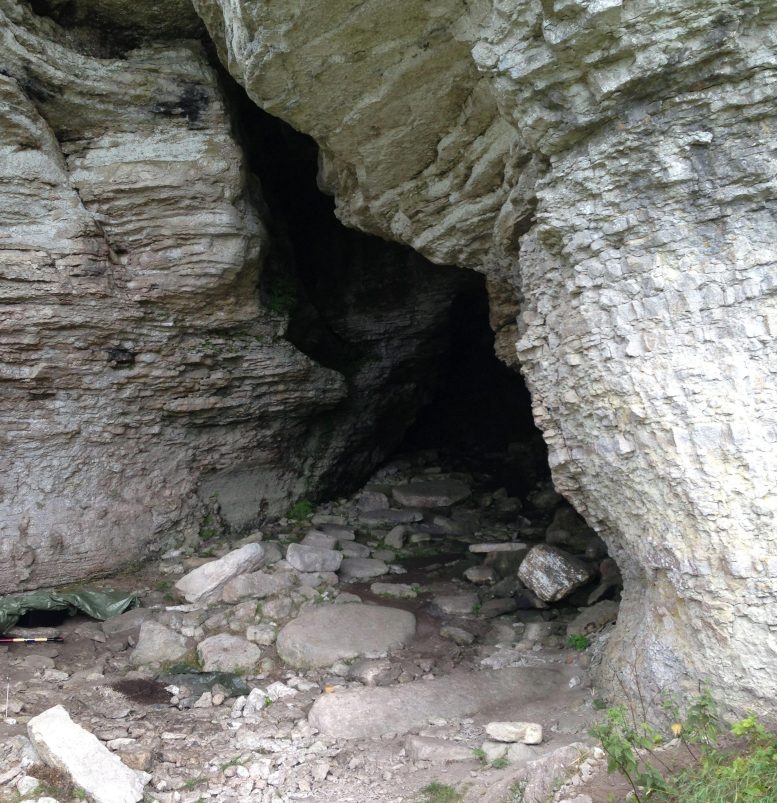 Entrance to the Stora Förvar Cave on the Island Stora Karlsö