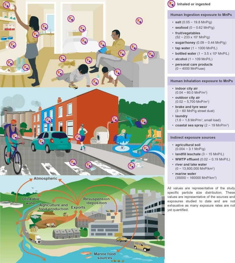 Environmental Exposure Routes Transport and Sources of MnPs Environmental Exposure Routes and Sources of MnPs in Indoor and Outdoor Environments