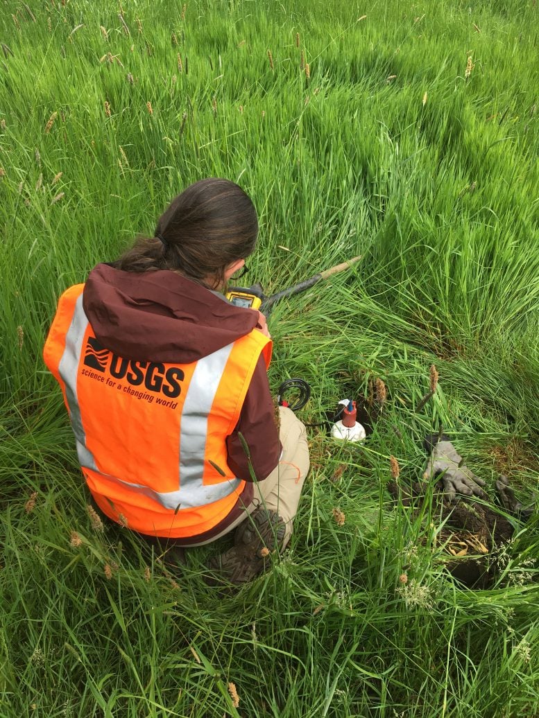 Erin Wirth Nodal Seismometer Oregon