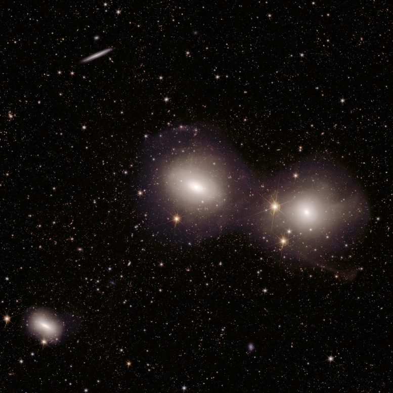 Euclid Dorado Group of Galaxies