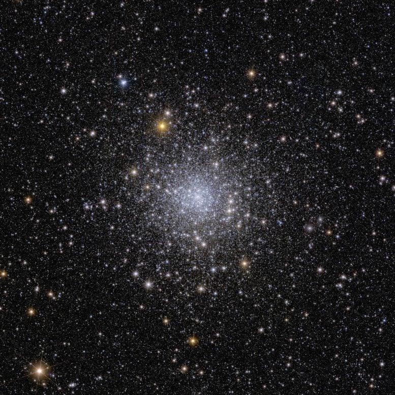 Euclid Globular Cluster NGC 6397
