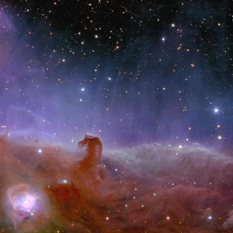 Euclid Horsehead Nebula