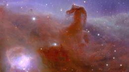 Euclid Horsehead Nebula Zoom 2