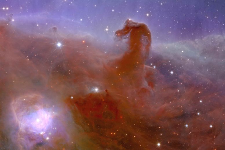Nebulosa Cabeça de Cavalo de Euclides, zoom 2