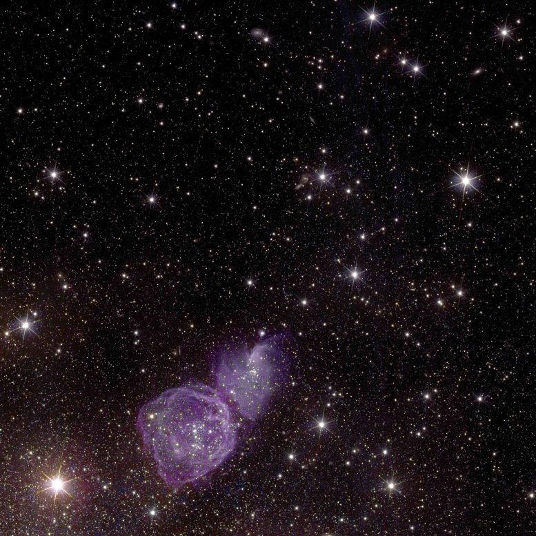 Euclid NGC 6822 Zoom 1