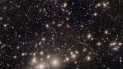 Euclid Perseus Cluster of Galaxies