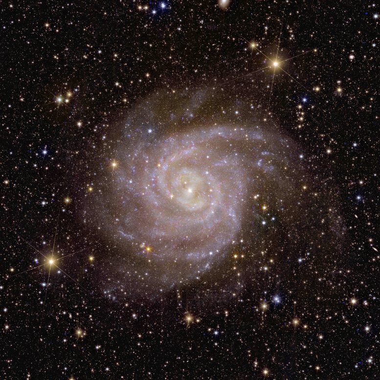 Euclid Spiral Galaxy IC 342