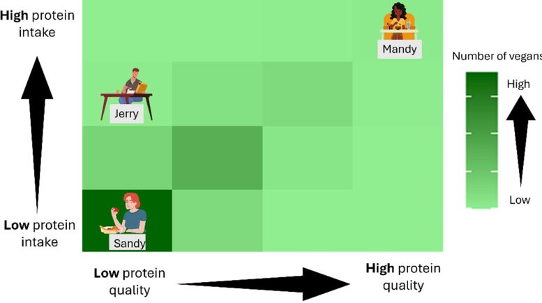 Evaluation of Protein Intake and Protein Quality in New Zealand Vegans