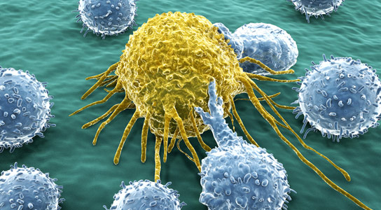 Evidence That White Blood Cells Can Fuse with Cancer Cells and Initiate a Tumor