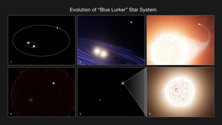 Evolution of Blue Lurker Star System