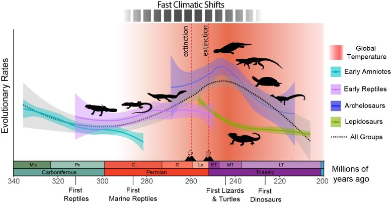 Evolutionary Response From Reptiles to Global Warming