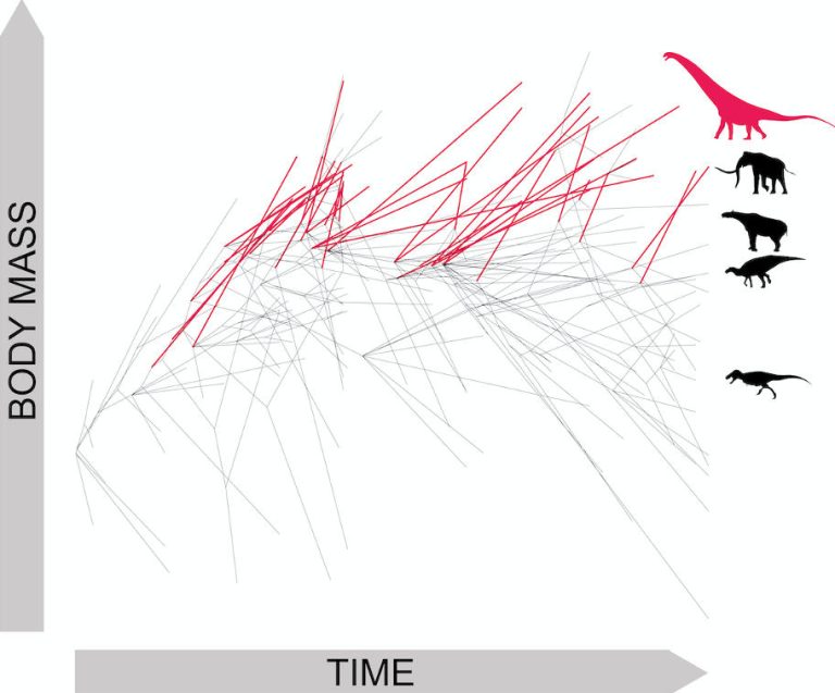 Venenosaurus Size The Largest Animals To Ever Walk on Earth – New Research Reveals How ...