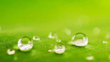 Examining Nanomaterial Health & Environmental Risks