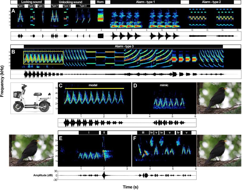 Example Spectrograms Showing the Electric Moped Sounds and the Imitations Produced by Chinese Blackbirds