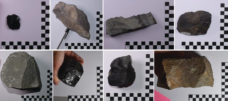 Rewriting History: Researchers Rethink the Origin of Stone Tools