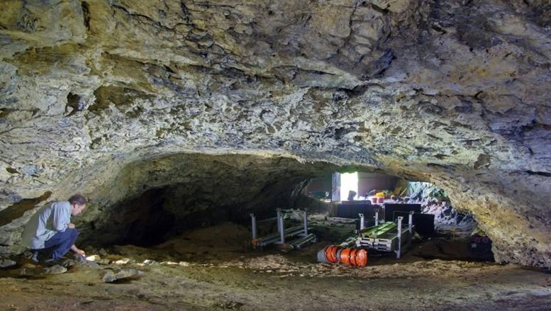 Excavating Ancient DNA From Belgium and the Netherlands