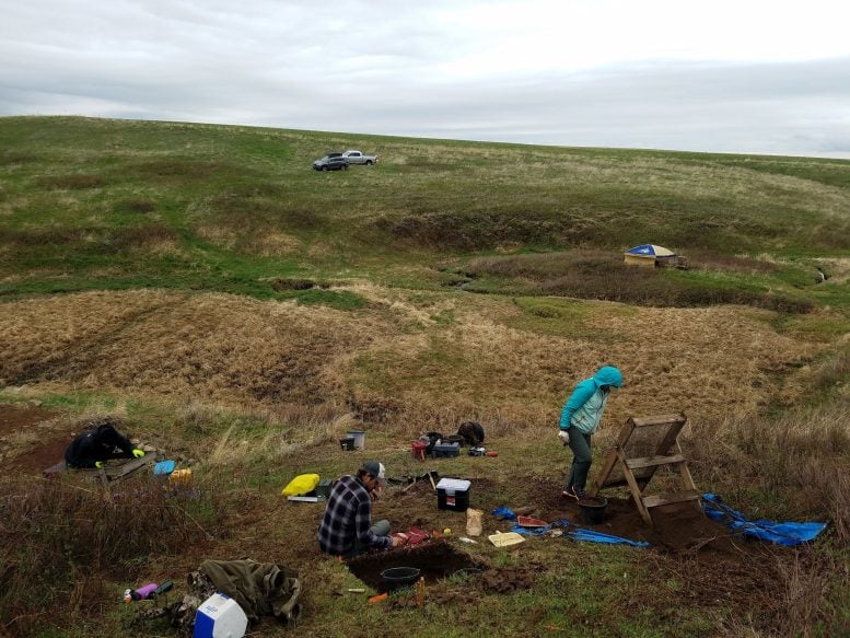 Excavation Area at the Bergstrom Site