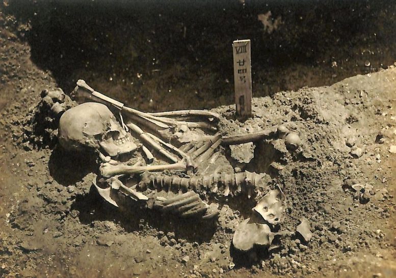 Excavation Photograph of Tsukumo No. 24