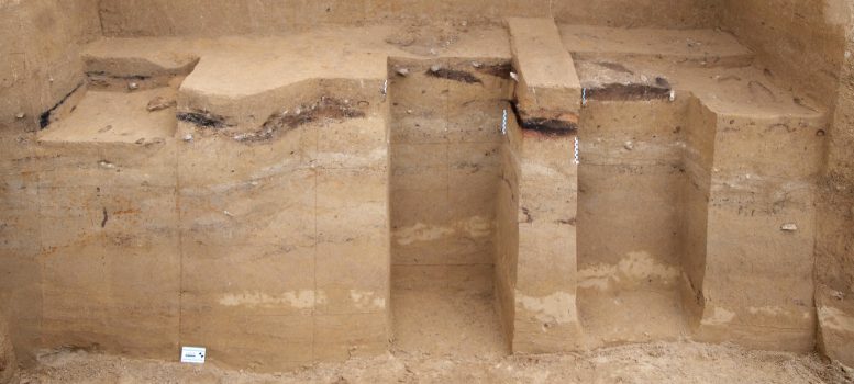 Excavation of Ancient Hearth Structure