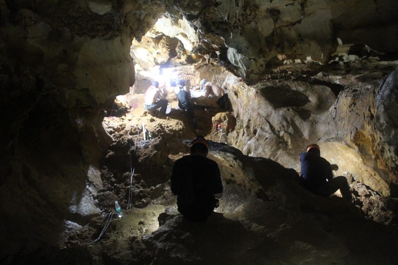 Excavations in Ma Feng Cave Guangxi