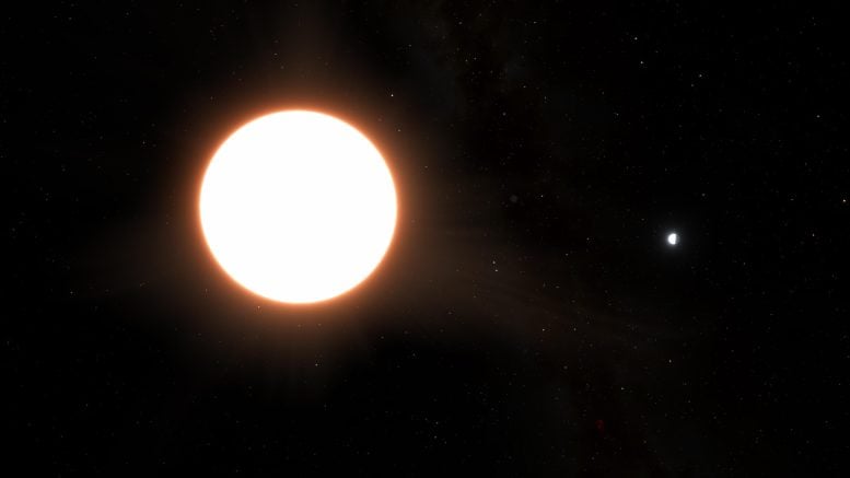 Exoplanet LTT9779 b Orbiting Host Star