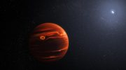 Exoplanet VHS 1256 b and Its Stars