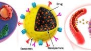 Exosome-Biomimetic Nanoparticles to Act as Drug Carriers