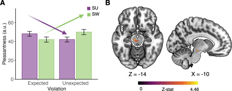 Expectations Shape How Much People Enjoy Beverages Containing Sugar or Artificial Sweetener Differently Graphic