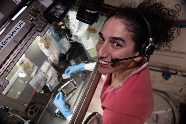 Expedition 70 Flight Engineer Jasmin Moghbeli Works Inside Life Science Glovebox