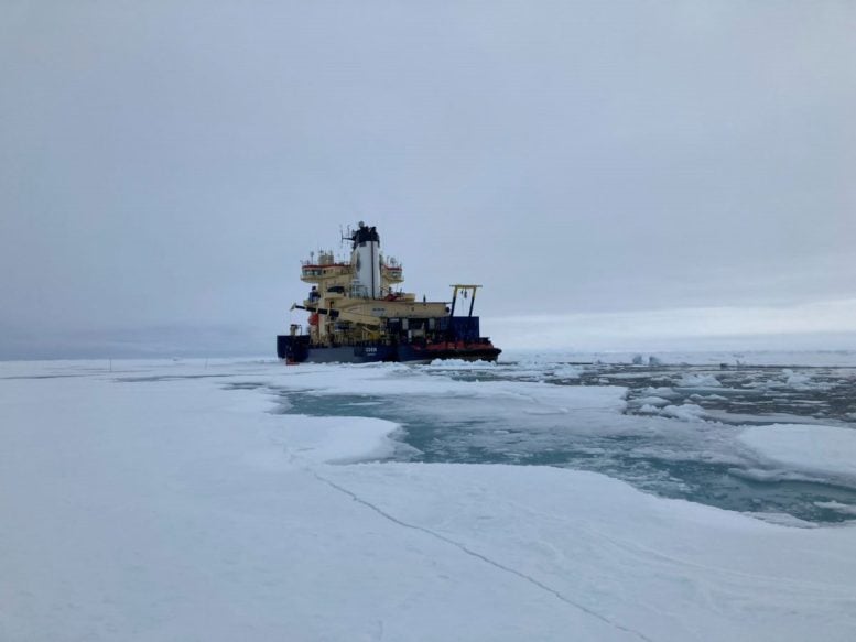 Expedition Ship IB Oden