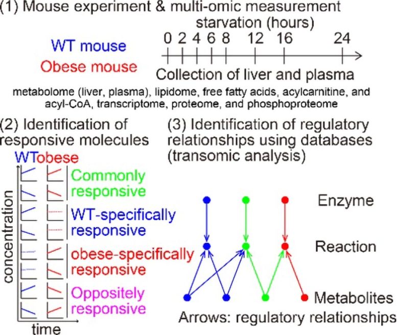 Experiment Overview