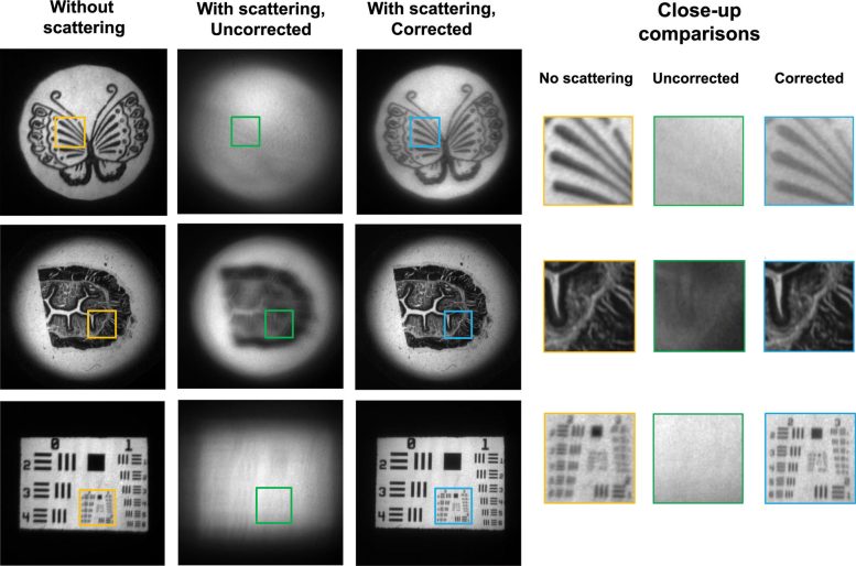 Experimental Results of NeuWS, a Technology That Corrects for Distortions Caused by Light Scattering