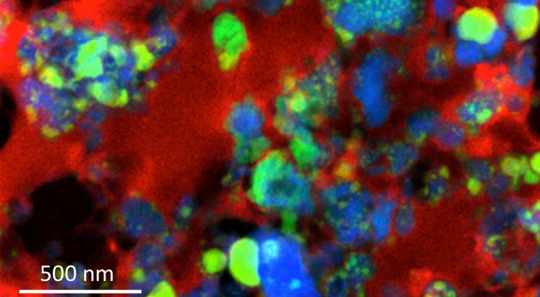 Experiments Trace Interstellar Dust Back to Solar System’s Formation