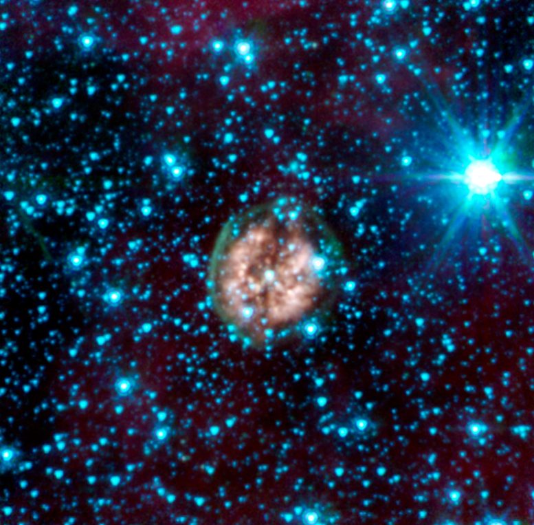 Exposed Cranium Nebula