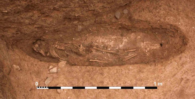 Exposed Skeletal Remains at Oued Beht