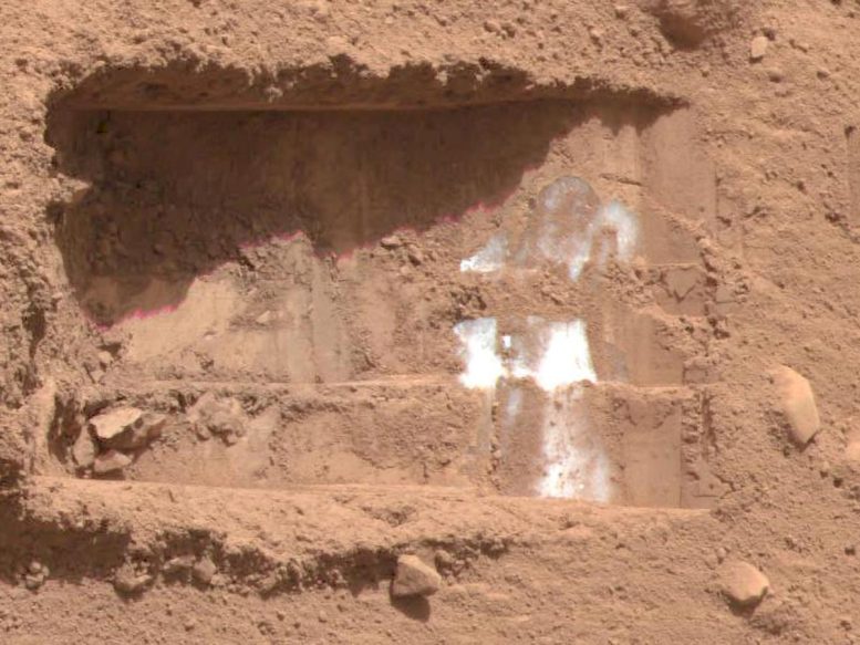 Exposed Subsurface Ice Excavated by NASA&rsquo;s Phoenix Lander