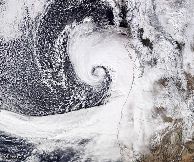 Bomb Cyclone Batters the Pacific Northwest Leaving 600,000 in the Dark