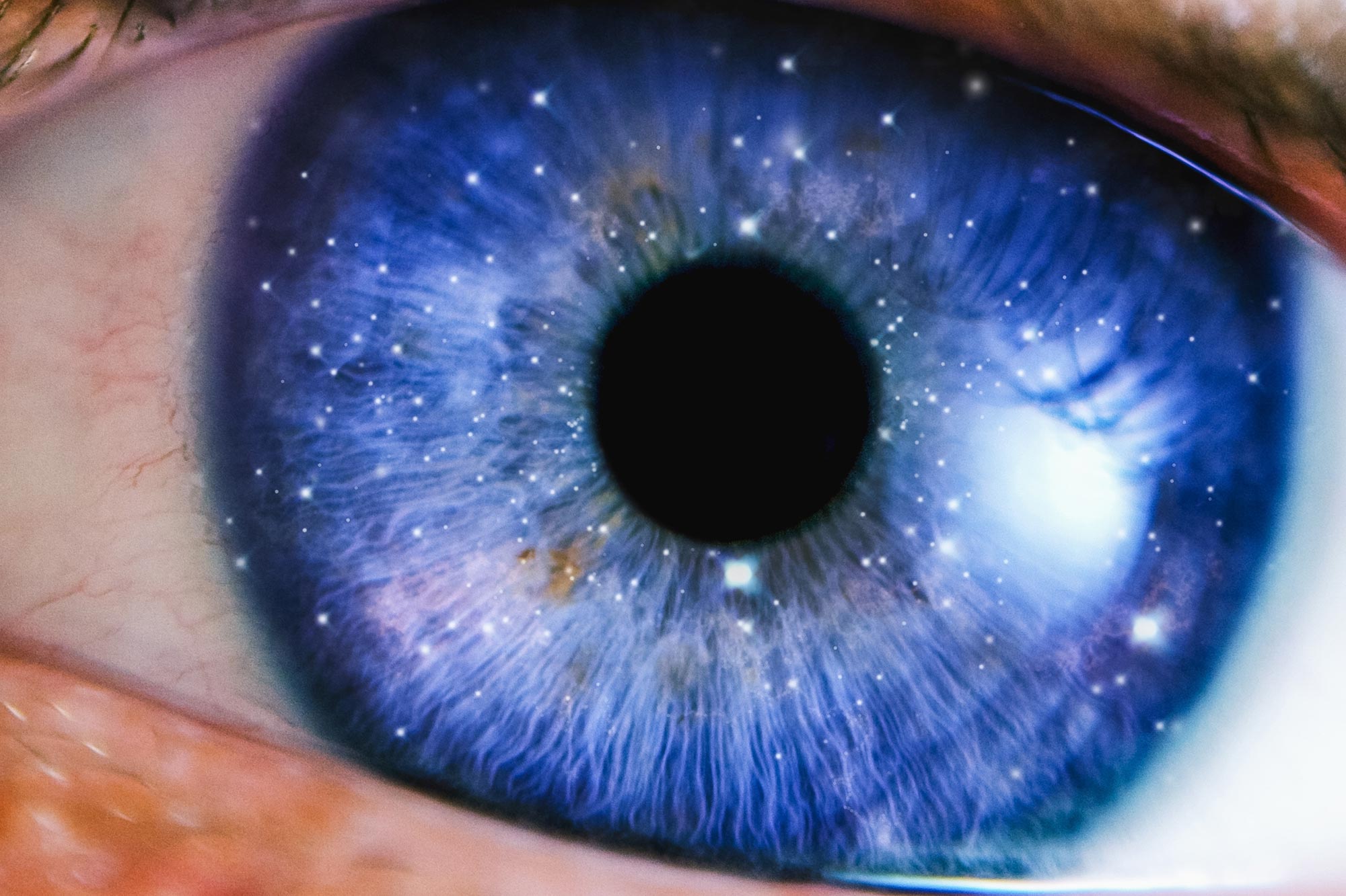 Scientists Identify the Evolutionary “Purpose” of Consciousness