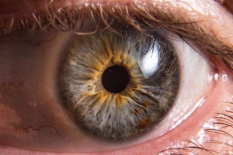 Breakthrough Drug Restores Vision: Researchers Successfully Reverse ...