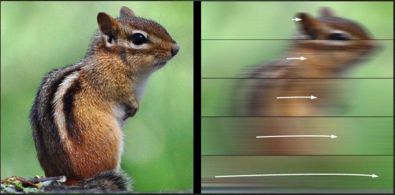 Eye Movements Predict Speed Limits of Perception