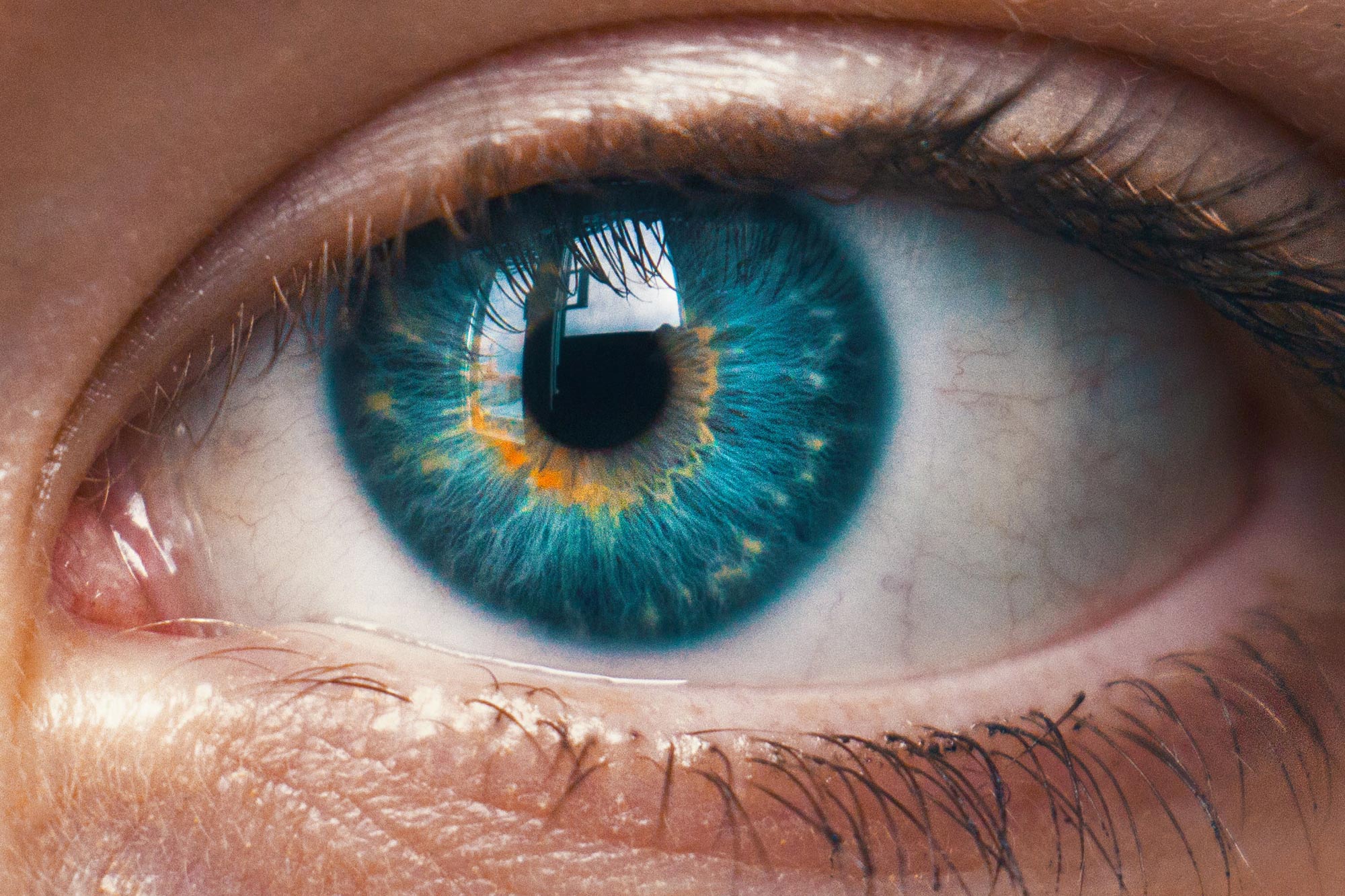 Your Eyes Can Reveal if You’ve Suffered a Traumatic Experience in the Past