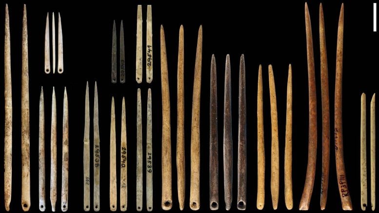 Eyed Needles From the Last Ice Age